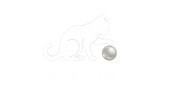 Pearl &amp; Paw - Home