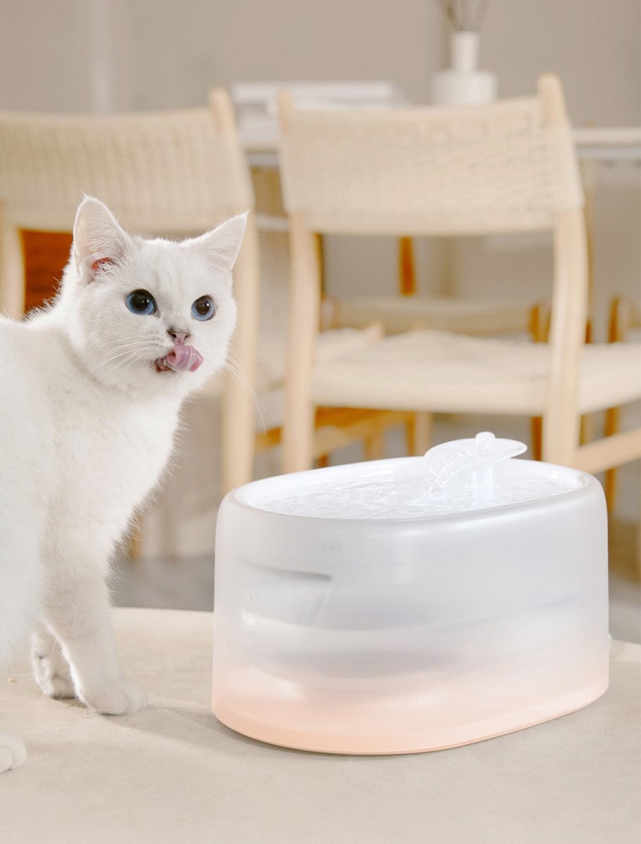 Smart Water Fountain with temperature control and sterilisation